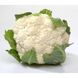 Blumenkohl klein