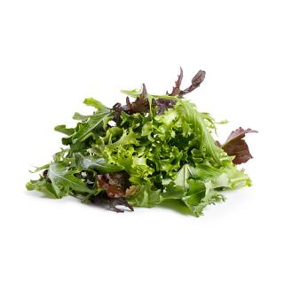 Baby Leaf Salat