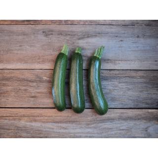 Zucchini