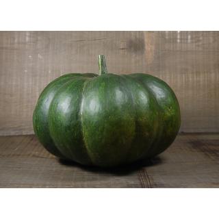 Kürbis Muskat mini (lieferbar als ganze Frucht)