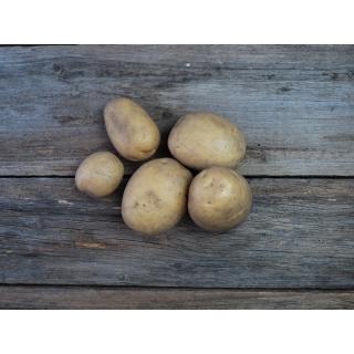 Kartoffeln vfk