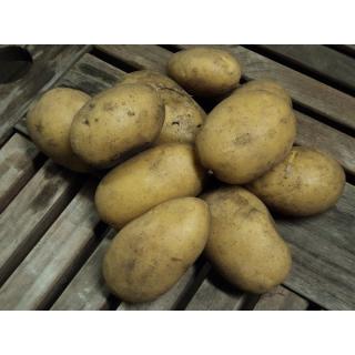 Frühkartoffeln vfk