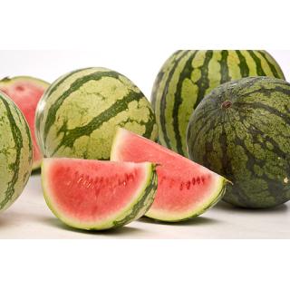 Mini-Wassermelone