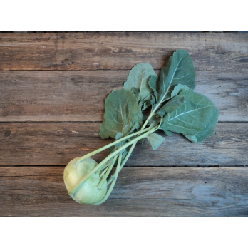 Kohlrabi