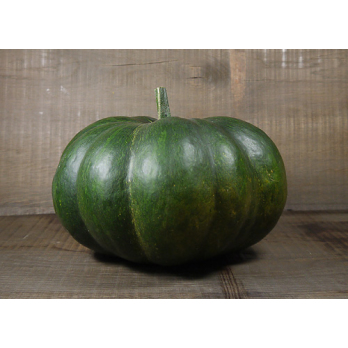 Kürbis Muskat mini (lieferbar als ganze Frucht)