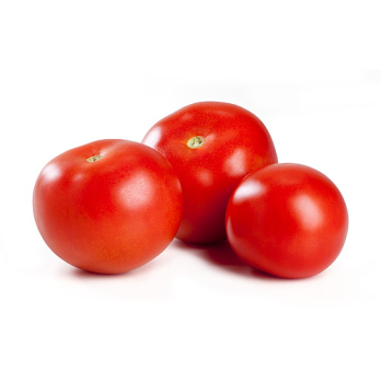 Marktgärtner-Tomate