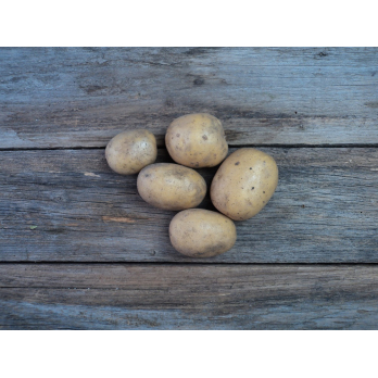 Kartoffeln fk