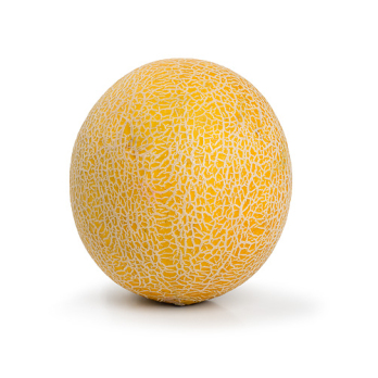 Honigmelone gross