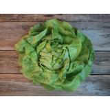 Salat, versch. Sorten