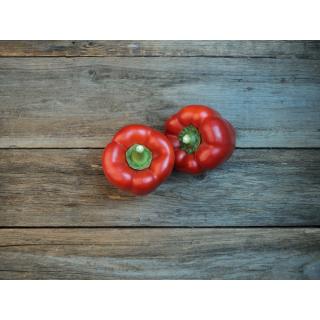 Paprika rot