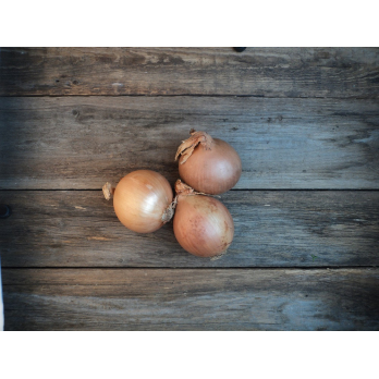 Gemüsezwiebeln