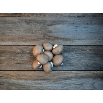 Steinchampignons