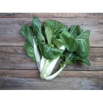 Pak Choi