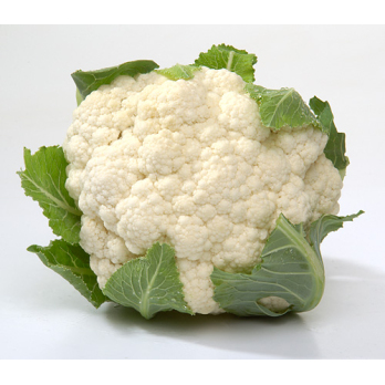 Blumenkohl klein