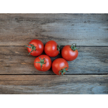 Strauchtomaten