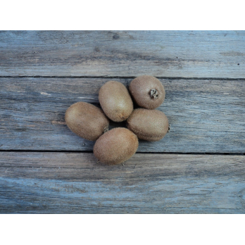 Kiwi